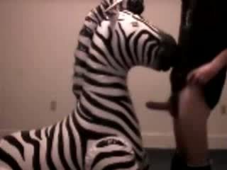 Zebra gets throat מזוין על ידי pervert guy וידאו