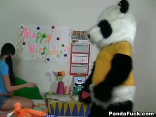 Panda gets trẻ thiếu niên bé