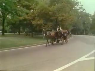 açoitado, vintage, chicote