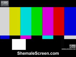 Heet shemale scherm film starring sharon, monique, agata