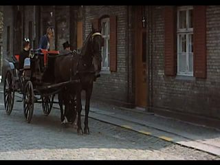 Що the шведська butler пила - champagnegalopp (1975)